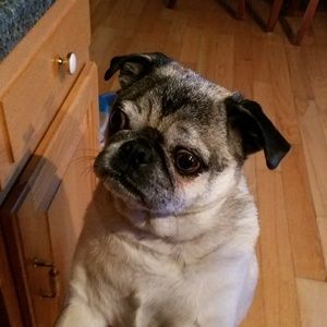 Meet your Posher, Kelli